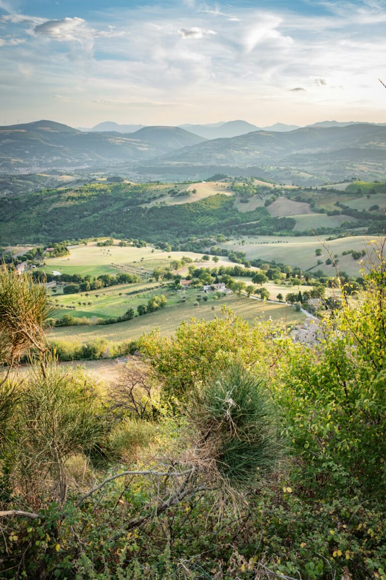 Heuvels als lappendeken le Marche