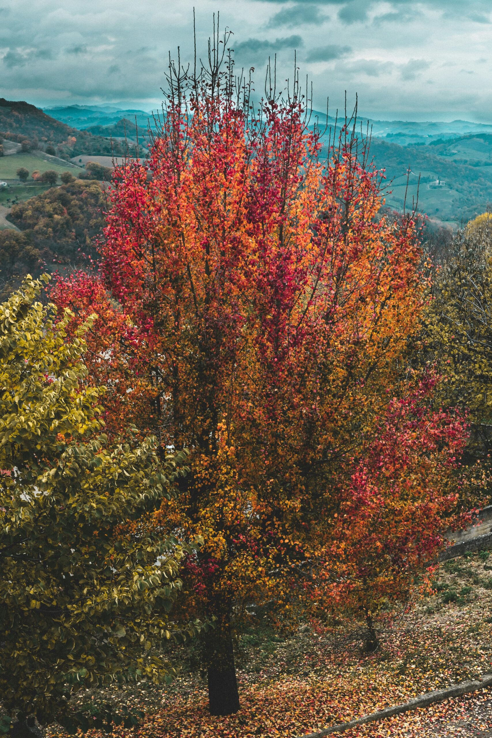 Hersft in Le Marche